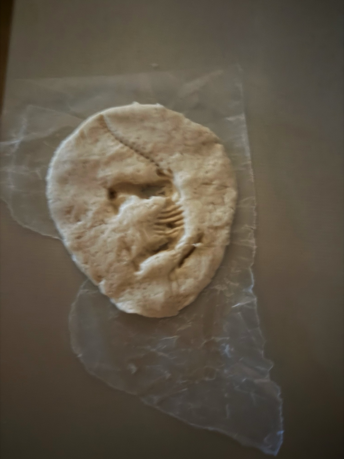 Dinosaur fossil salt dough activity