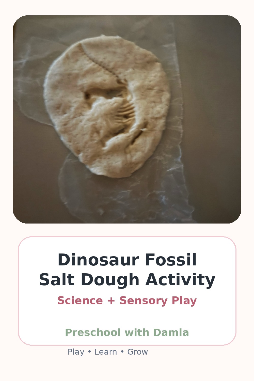 Pinterest pin cover for Dinosaur Fossil Salt Dough Activity
